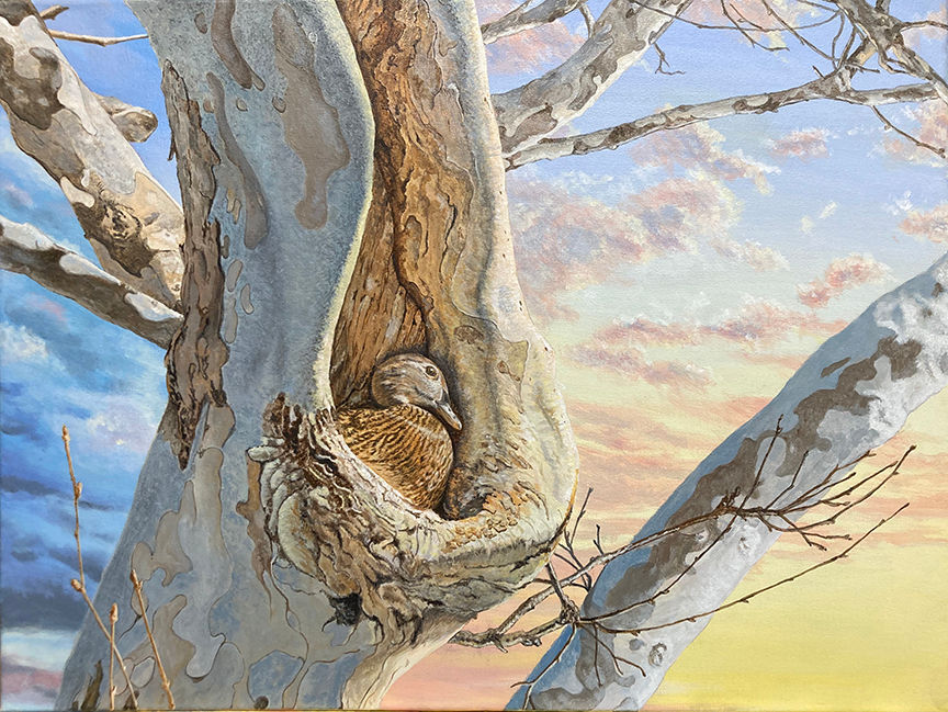 painting of a duck in a tree