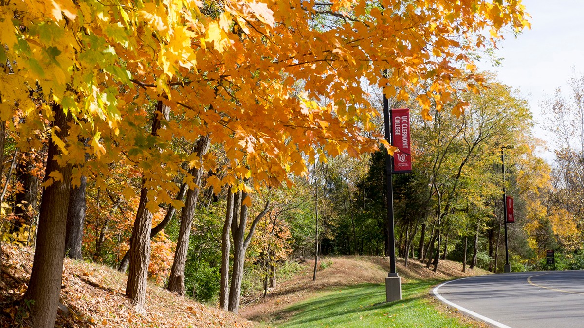 fall leaves on campus