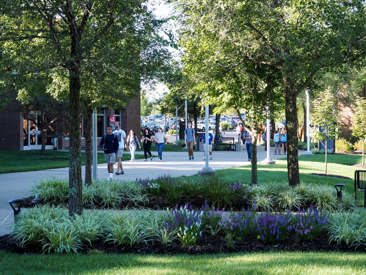students walking across campus
